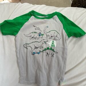 Wonder Nation Green and Gray Dinosaur Kids Shirt